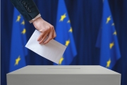 Priebeh a účasť vo voľbách do Európskeho parlamentu