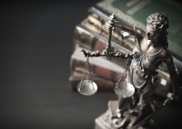 Právnické profesie v praxi: Sudca a prokurátor
