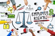 Stručný pohľad na zásady (princípy) pracovného práva