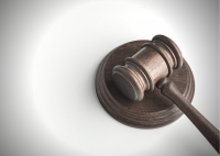 Vzťah trestnoprávnych predpisov  a zákona o pobyte cudzincov - judikatúra
