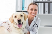 Návrh zákona ktorým sa mení zákon o veterinárnej starostlivosti